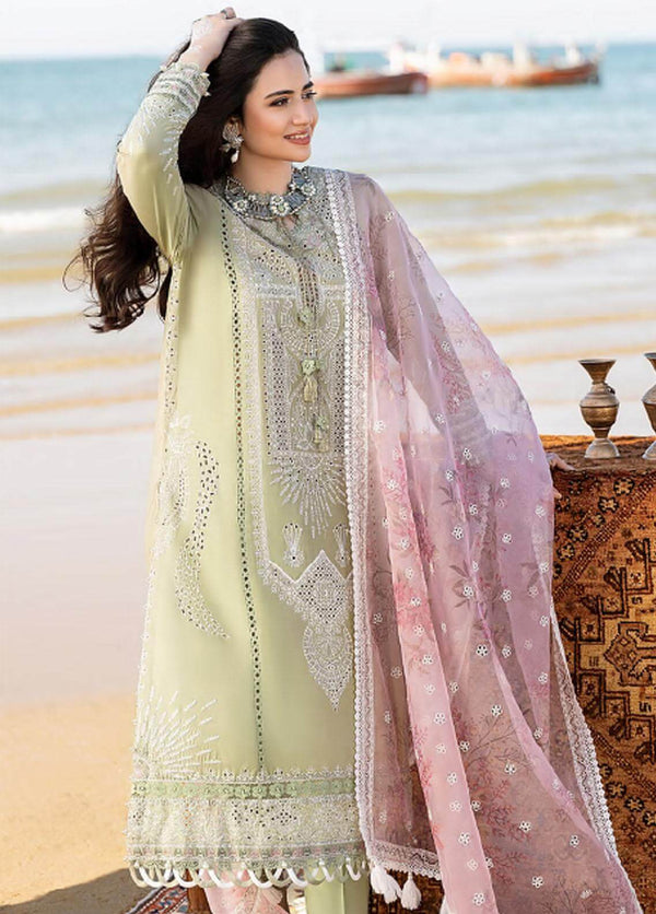 3 Piece Embroidered Lawn Shirt with Printed Organza Dupatta AS 10